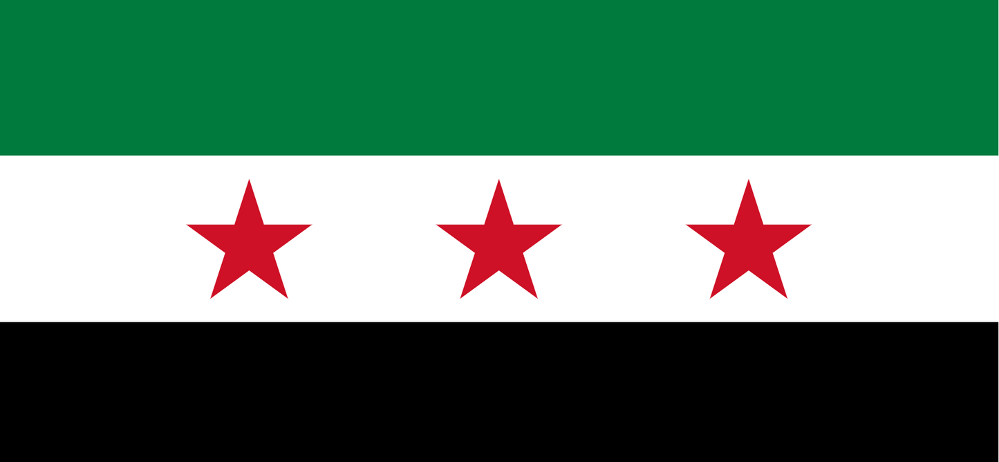 Flag of Syria / علم سوريا / Flagge von Syrien / JO PARIS 2024 / Tomorrowland Boom BE 2024